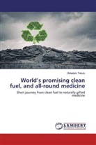 Zelaalem Tekulu - World's promising clean fuel, and all-round medicine