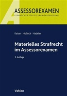 Henning Hadeler, Torste Holleck, Torsten Holleck, Hors Kaiser, Horst Kaiser - Materielles Strafrecht im Assessorexamen