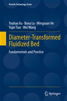 Mingyuan He, Mingyuan et al He, Bon Lu, Bona Lu, Yujie Tian, Wei Wang... - Diameter-Transformed Fluidized Bed