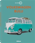 Elmar Brümmer - IconiCars Volkswagen Bulli