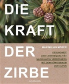 Maximilian Moser - Die Kraft der Zirbe