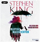 Stephen King, David Nathan - Blutige Nachrichten, 2 Audio-CD, 2 MP3 (Livre audio)