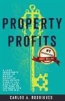 Carlos Alberto Rodrigues, Carlos Alberto Rodrigues - Property Profits