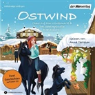 THiLO, Anna Carlsson - Ostwind. Chaos auf dem Wintermarkt & Das geheimnisvolle Brandzeichen, 1 Audio-CD (Audiolibro)