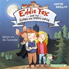 Antje Szillat, Ilka Teichmüller - Eddie Fox und die Schüler von Stormy Castle, 2 Audio-CD (Hörbuch)