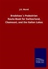 J R Morell, J. R. Morell, J.R. Morell - Bradshaw's Pedestrian Route-Book for Switzerland, Chamouni, and the Italian Lakes