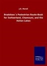 J R Morell, J. R. Morell, J.R. Morell - Bradshaw's Pedestrian Route-Book for Switzerland, Chamouni, and the Italian Lakes