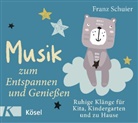 Franz Schuier - Musik zum Entspannen und Genießen, Audio-CD (Audio book)