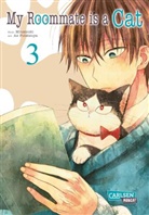 As Futatsuya, Asu Futatsuya, Tsunam Minatsuki, Tsunami Minatsuki - My Roommate is a Cat. Bd.3