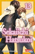 Shungiku Nakamura - Sekaiichi Hatsukoi 13