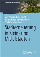Uwe Altrock, Ronal Kunze, Ronald Kunze, Ronald Kunze u a, Detle Kurth, Detlef Kurth... - Stadterneuerung in Klein- und Mittelstädten