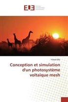 Yishak Kifle - Conception et simulation d'un photosystème voltaïque mesh
