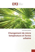 Yusuf Hazara Ebrahim - Changement de micro température et forme urbaine