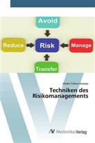 Abebe Tilahun Kassaye - Techniken des Risikomanagements