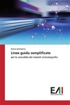 Marco Iammarino - Linee guida semplificate