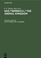 Deutsche Zoologische Gesellschaft, Maximilian Fischer, K. Heidel, R. Hesse, Maximilian Holly, W. Kükenthal... - Das Tierreich / The Animal Kingdom - Lfg. 67: Pisces, Teil 4. Ganoidei