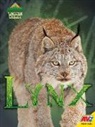 Blaine Wiseman - Lynx