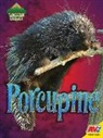 Christine Webster - Porcupine