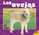 Jared Siemens - Las Ovejas (Sheep)