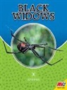 Blaine Wiseman - Black Widows