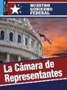 Simon Rose - La Cámara de Representantes