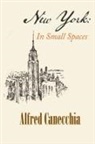 Alfred Canecchia - NEW YORK