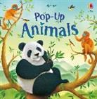 Anna Milbourne, Anna Milbourne Milbourne, Milbourne Anna, Hilborne Jenny, Richard Johnson - Pop-Up Animals