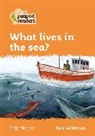 Sally Morgan, Morgan Sally, Rose Wilkinson - Collins Peapod Readers