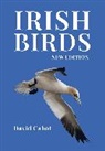 David Cabot - Irish Birds