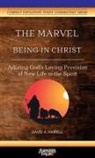 David A. Harrell - The Marvel of Being in Christ
