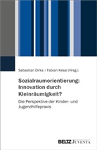 Sebastian Dirks, Kessl, Fabian Kessl - Sozialraumorientierung: Innovation durch Kleinräumigkeit?
