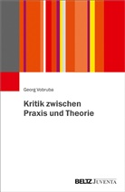 Georg Vobruba, Georg (Dr.) Vobruba - Kritik zwischen Praxis und Theorie