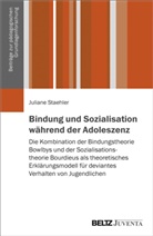 Juliane Staehler, Eckar Liebau, Eckart Liebau, Michael Winkler - Bindung und Sozialisation während der Adoleszenz