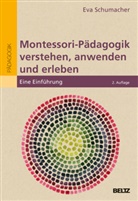 Eva Schumacher, Eva (Dr.) Schumacher - Montessori-Pädagogik verstehen, anwenden und erleben