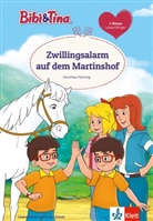 Dorothea Flechsig - Bibi & Tina: Zwillingsalarm auf dem Martinshof