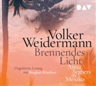 Volker Weidermann, Burghart Klaußner - Brennendes Licht. Anna Seghers in Mexiko, 4 Audio-CD (Hörbuch)