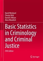 Cheste Britt, Chester Britt, Davi Weisburd, David Weisburd, David Wilson, David B et Wilson... - Basic Statistics in Criminology and Criminal Justice