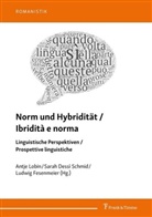 Sara Dessì Schmid, Sarah Dessì Schmid, Ludwig Fesenmeier, Antje Lobin - Norm und Hybridität / Ibridità e norma