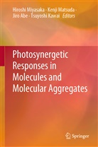 Jiro Abe, Jiro Abe et al, Tsuyoshi Kawai, Kenj Matsuda, Kenji Matsuda, Hiroshi Miyasaka - Photosynergetic Responses in Molecules and Molecular Aggregates
