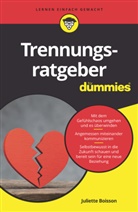 Juliette Boisson - Trennungsratgeber für Dummies