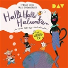 Falk Effenberger, Sybill Hein, Sybille Hein, Falk Effenberger, Sybille Hein - Halli Hallo Halunken, die Fische sind ertrunken!, 1 Audio-CD (Audio book)