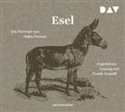 Jutta Person, Frank Arnold, Judit Schalansky, Judith Schalansky - Esel, 3 Audio-CD (Audiolibro)