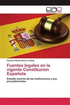 Casimiro Benito Navarro Ojeda - Fuentes legales en la vigente Constitucion Española