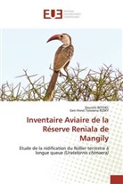 Daureli BOTHEL, Daurelis Bothel, Gen Hiviel Tsiresena RIZIKY - Inventaire Aviaire de la Réserve Reniala de Mangily