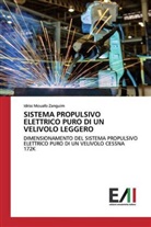Idriss Mouafo Zanguim - SISTEMA PROPULSIVO ELETTRICO PURO DI UN VELIVOLO LEGGERO