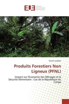 Enoch Loubelo - Produits Forestiers Non Ligneux (PFNL)