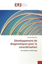 Bensaha Radouane - Développement de diagnostiques pour la caractérisation