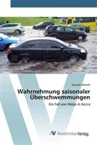 Samuel Lefoneh - Wahrnehmung saisonaler Überschwemmungen