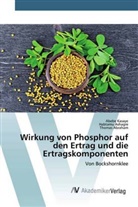 Thomas Abraham, Habtam Ashagre, Habtamu Ashagre, Abeb Kasaye, Abebe Kasaye - Wirkung von Phosphor auf den Ertrag und die Ertragskomponenten