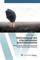 Yohannes Eneyew Ayalew - Schirmklausel des internationalen Investitionsrechts